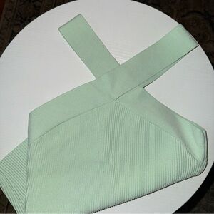 ARITZIA Babaton Light Green Sculpt Knit Top